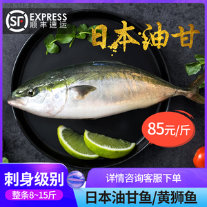 黄鰤鱼 黄鰤鱼品牌 价格 阿里巴巴