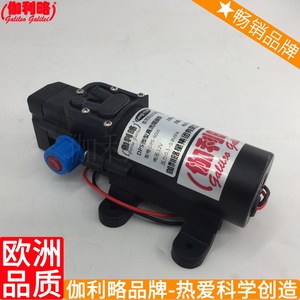 潜高温抽机24伏超郑州微型蒸汽洗车12v动水泵电直流自吸隔膜高压