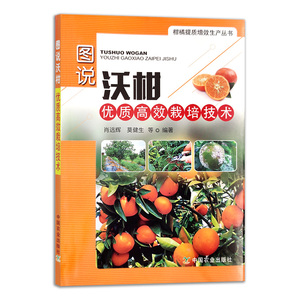 图说沃柑优质高效栽培技术/柑橘提质增效生产丛书 9787109281851 沃柑优质高效种植技术柑橘柑桔栽培管理