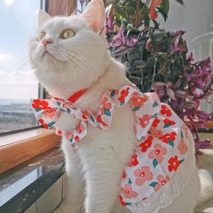 宠物可牵引公主裙子夏季可爱薄款猫咪布偶猫英短银渐层加菲猫衣服