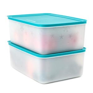 特百惠 5.7升冷冻保鲜盒 大容量雪影冷藏储藏盒 长方形冰箱收纳盒
