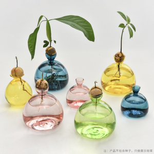 日式牛油果水培玻璃花瓶种子专用种植花瓶果核水培容器彩色花瓶