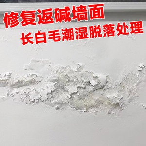 防水腻子膏防霉抗碱墙面修复材料墙壁潮湿返碱翻新装修木纹补墙膏