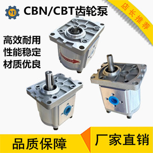 液压齿轮泵油泵总成CBN-F310/314/316/20/25小型高压油泵大全泵头