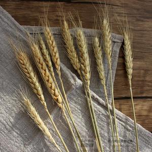 天然干花小麦复古麦子道具网店拍摄拍图摄影道具淘宝背景装饰摆设