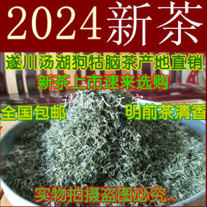 2024新茶江西遂川狗牯脑茶叶明前茶云雾日照充足特级珍品500克