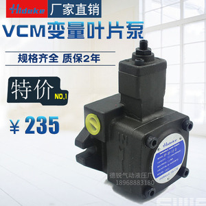 叶片泵液压油泵VCM-SF-12D/20D/30D/40D/30C/20B/20C/40C-10/20