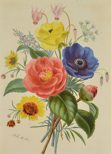K167【法国】( Magnat Casimir )花的寓意花卉版画网传图库