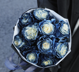 厄瓜多尔进口巨型玫瑰鲜花束520情人节送女友爱人礼物全国顺丰