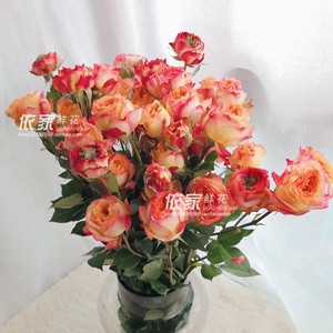 蔷薇花花瓶 蔷薇花花瓶品牌 价格 阿里巴巴