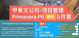甲骨文公司-项目管理软件Primavera P6软件5件套-升级至R18.8版本