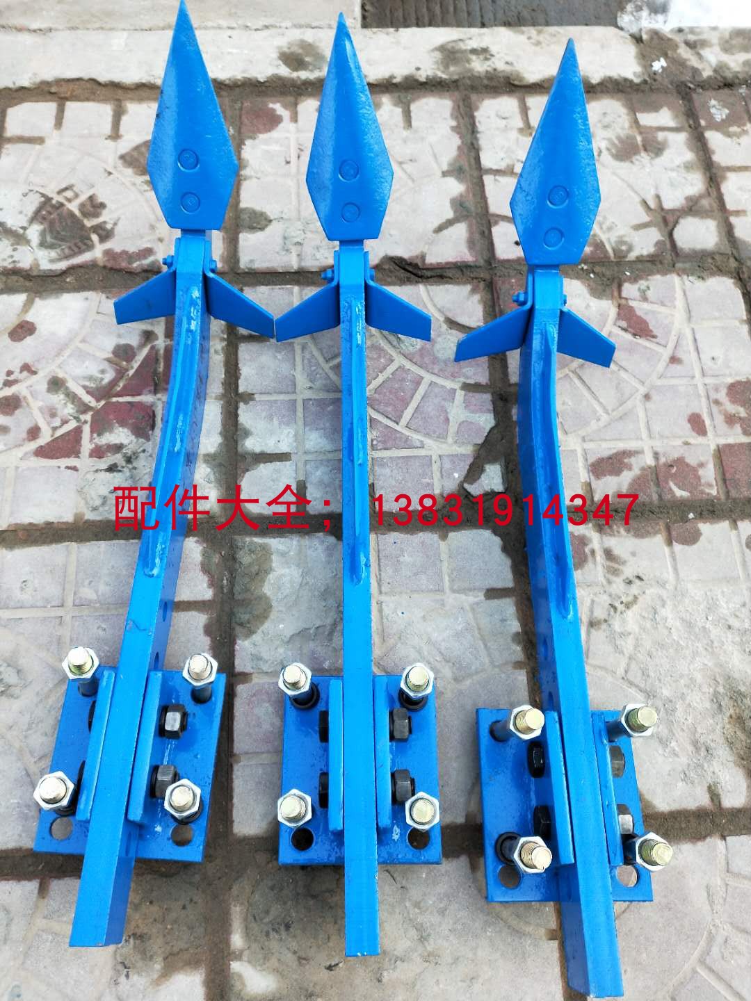 ”欧阳巧信心满满