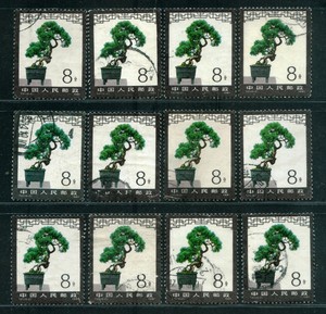 T61 盆景 6－2 信销邮票 上品（单枚价）