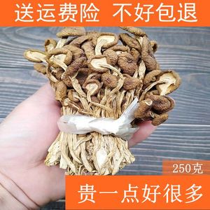 茶树菇250克半斤装剪脚煲汤干货菌菇广东发货天然农产品炖汤食材