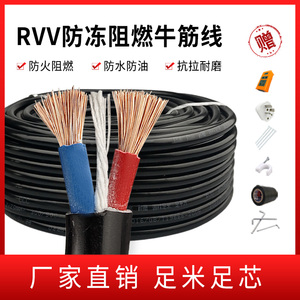 电缆线2芯RVV1.5/2.5/4/6平方电源延长线家用防水防冻足芯软电线