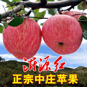 山东苹果条红新鲜水果沂源红中庄苹果红富士当季整箱包邮5斤10斤