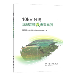正版图书 10kV分线线损治理及典型案例  中国电力9787519860844