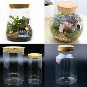 带木塞微景观生态瓶diy多肉植物玻璃瓶圆柱形苔藓制作容器储物罐