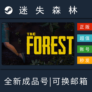森林 The Forest PC中文正版 steam 生存  迷失森林 全新成品账号