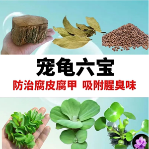 乌龟专用生态缸造景养龟水草用品龟缸四宝懒人养龟鳖净化水质植物