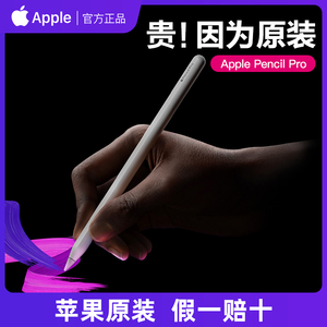 【苹果原装 假一赔十】Apple/苹果原装 Apple Pencil Pro手写触控笔适用平板电脑ipad pro air等