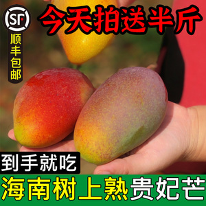 特级海南贵妃芒果热带应季水果现摘新鲜树上熟红金龙5斤顺丰包邮