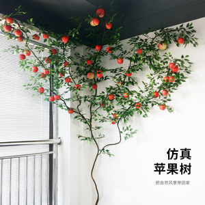 仿真藤条树装饰假樱花室内水果绿植苹果吊顶网红墙创意花藤挂件