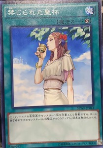 【天马卡牌】游戏王 SPWR-JP041 N 禁忌的圣杯