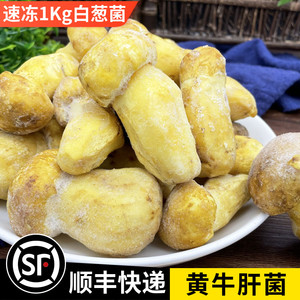 云南新鲜冰冻牛肝菌特产冰鲜白葱菌1kg黄牛肝菌2斤非干货食用菌