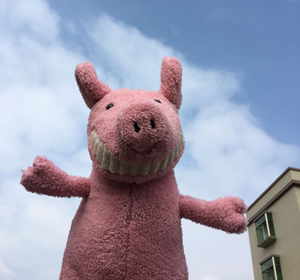 出口原单网红龇大牙微笑小猪玩偶毛绒陪伴玩具