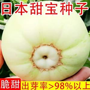 日本甜宝甜瓜种籽特大白皮香瓜种子春季四季水果种孑皮薄超甜脆
