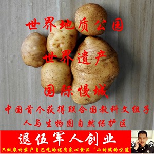 宝宝辅食非转基因土豆马铃薯老品种新鲜蔬菜长寿村自留无农药化肥