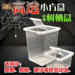 蜘蛛螳螂幼体透明塑料饲养盒昆虫蝎子爬虫爬宠苗子小号方盒树栖盒
