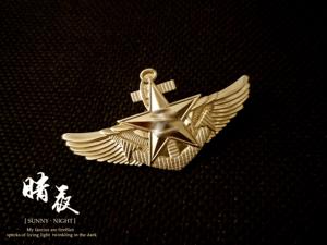 徽章收藏70周年纪念章珍藏胸章庆典航空兵飞行核潜艇胸标胸章