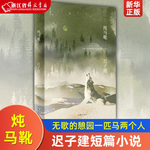 炖马靴 迟子建近期及回忆性的短篇小说故事 七十年代的四季歌 无歌的憩园一匹马两个人现当代文学额尔古纳河右岸新华书店