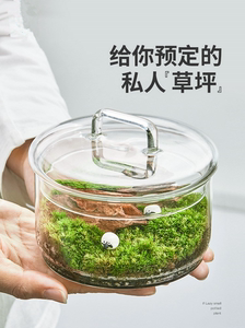 苔藓微景观植物生态瓶DIY可叠加带盖玻璃碗多层透明储物罐收纳盒