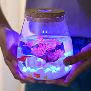 水培植物生态瓶水滴形玻璃瓶木塞灯微景观造景容器蛋形斗鱼缸花瓶