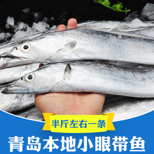 5斤10条 青岛小眼带鱼新鲜冷冻鲜活海鱼整条整箱特级大海鲜刀鱼