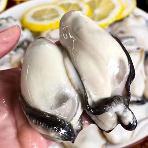 广东特产鲜活现剥生蚝肉潮汕海鲜水产海蛎子牡蛎肉500g三斤起包邮