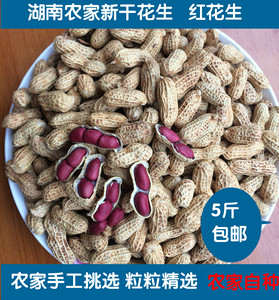 2023湖南特产农家自种新货干红皮花生带壳生花生小粒花生5斤包邮