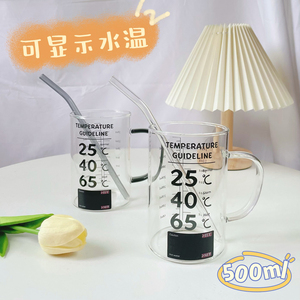 可温度显示圆形玻璃杯高硼硅大容量带盖水杯刻度咖啡杯耐热泡茶杯