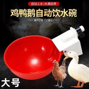 超大号鸡鸭鹅喝水碗饮水自动喂水器养殖大鸡大鸭子大鹅自动饮水碗