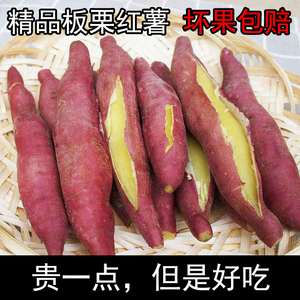 现挖新鲜红薯陕西凤翔虢王农家番薯板栗地瓜红芋红苕蜜薯5斤10斤