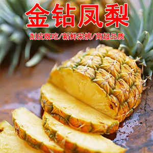 凤梨新鲜水果纯甜手撕无眼菠萝树上熟当季热带水果云南版纳特产