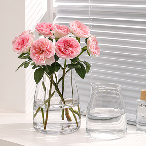 现代简约高级感网红花瓶客厅玻璃透明水养鲜花玫瑰花玄关花器装饰