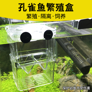 隔离盒自浮式鱼孵化器鱼缸水族箱孔雀鱼繁殖盒隔离网凤尾鱼孵化盒