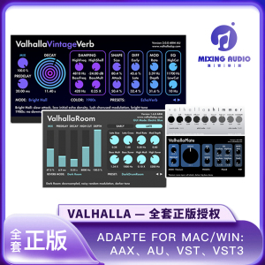 2024正版全套 valhalla  瓦哈拉 delay plate 混响 延迟效果器