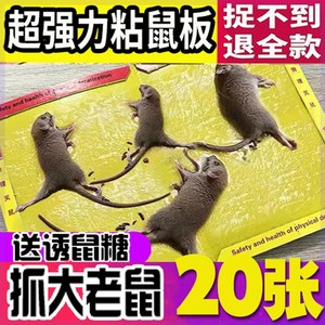捕鼠神器老鼠诱饵食稻谷颗粒诱鼠器捕鼠夹粘鼠板专用除防鼠引诱剂