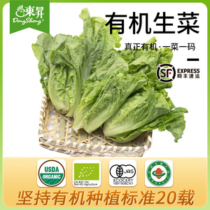 东升农场 有机生菜 沙拉菜莴苣 火锅食材 广州供港新鲜配送 300g