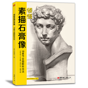 领悟素描石膏像 8开临摹范本书籍素描五官结构体块精选教材头骨肌肉分半面像头像长期短期素描联考高考美院美术教程画册